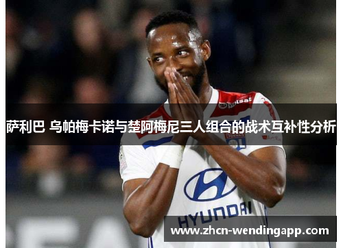 萨利巴 乌帕梅卡诺与楚阿梅尼三人组合的战术互补性分析