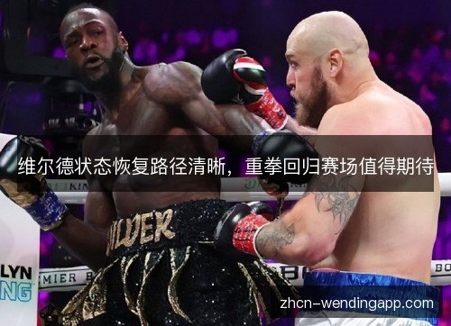 维尔德状态恢复路径清晰，重拳回归赛场值得期待